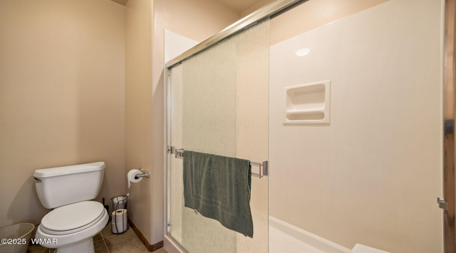 Primary Walk-in Shower