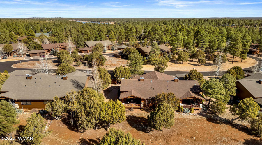 Aerial View of Community