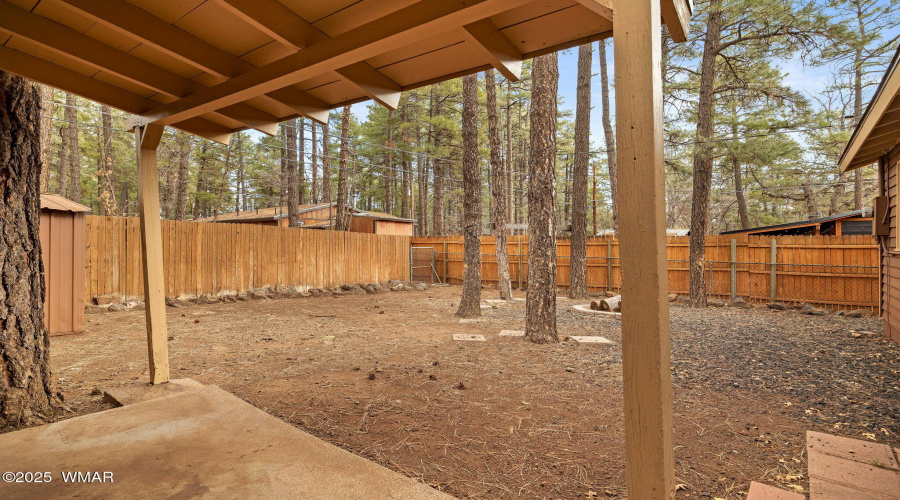 Covered Porch in Back