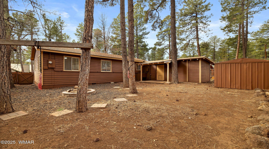 Backyard with Trees