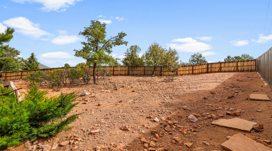 Fenced Backyard