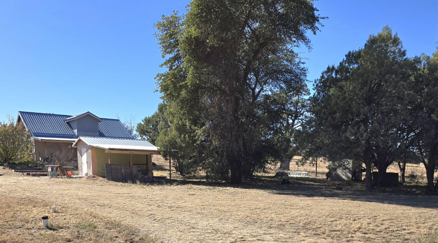 Panorama of Back Yard