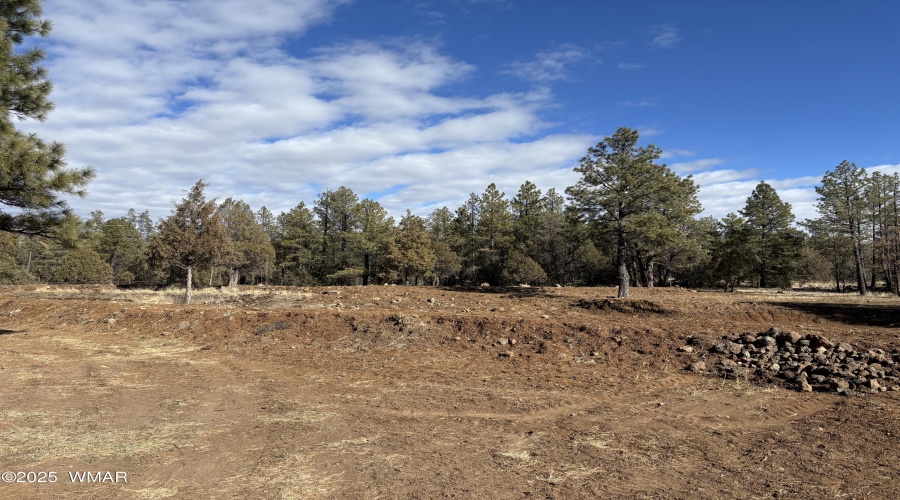 Pond Area