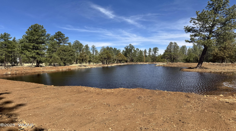 Pond