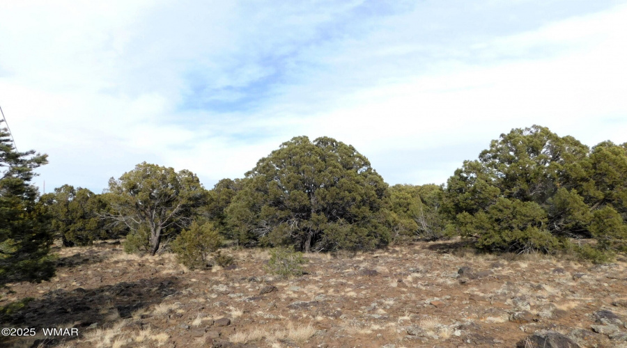 10 COUNTY ROAD 3071 VERNON, AZ 85940 ( A