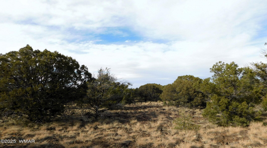 10 COUNTY ROAD 3071 VERNON, AZ 85940 ( A