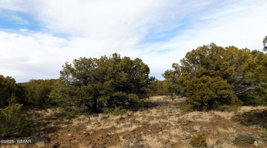 10 COUNTY ROAD 3071 VERNON, AZ 85940 ( A