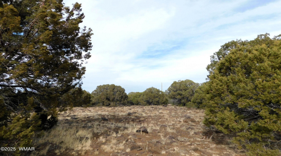 10 COUNTY ROAD 3071 VERNON, AZ 85940 ( A