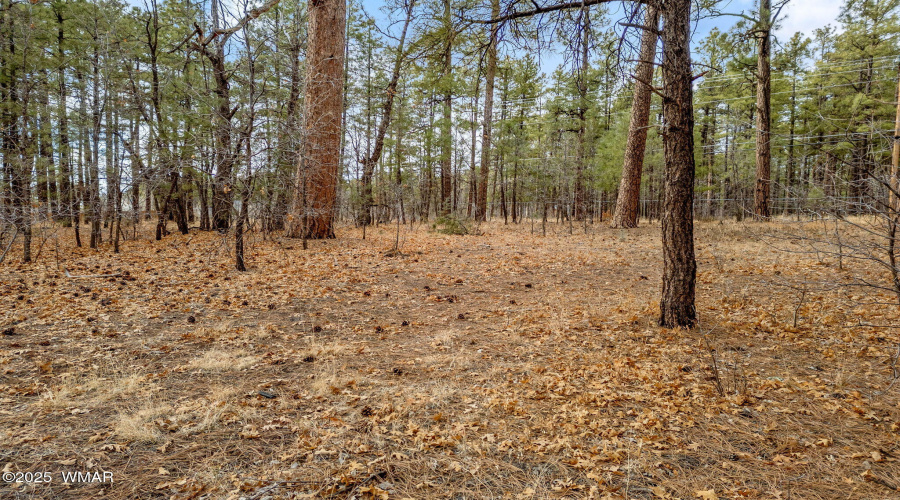 NavajoLnParcels-Pinetop-AZ-13