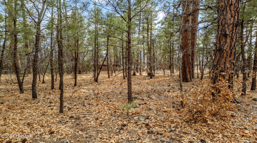 NavajoLnParcels-Pinetop-AZ-14