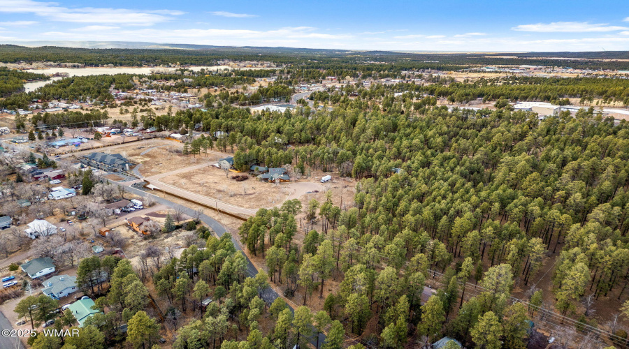 NavajoLnParcels-Pinetop-AZ-4