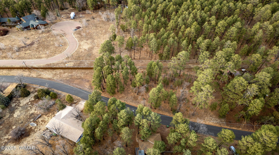 NavajoLnParcels-Pinetop-AZ-10