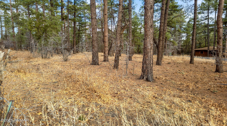 NavajoLnParcels-Pinetop-AZ-11