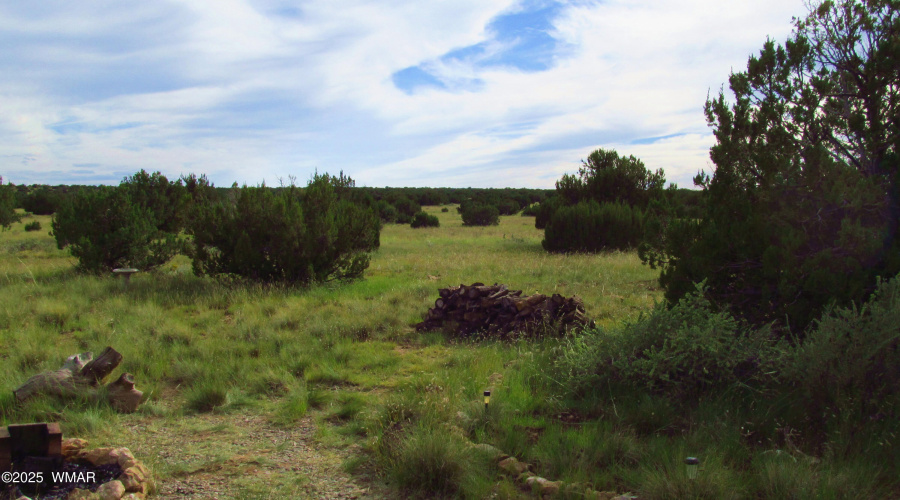 looking south west from the cabin