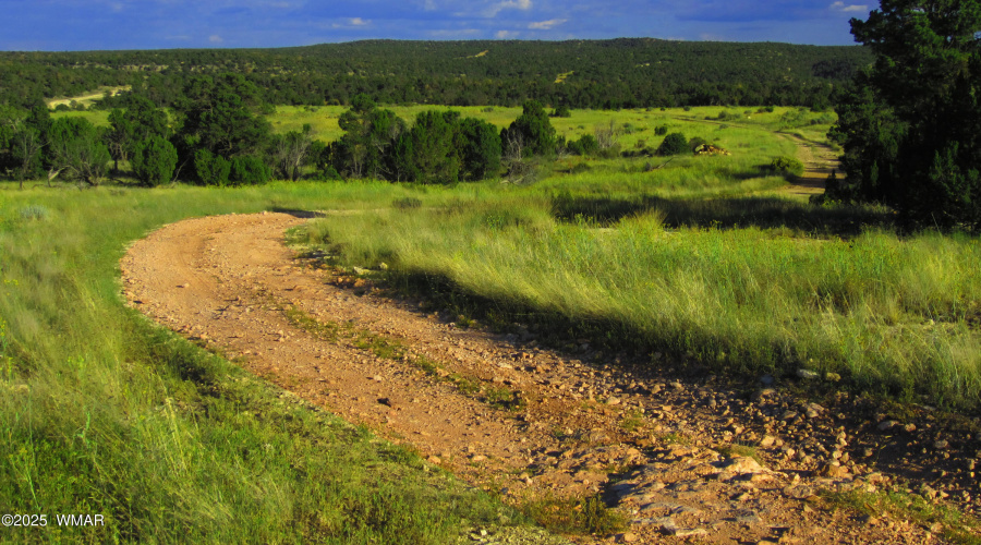 road leading to the cabin