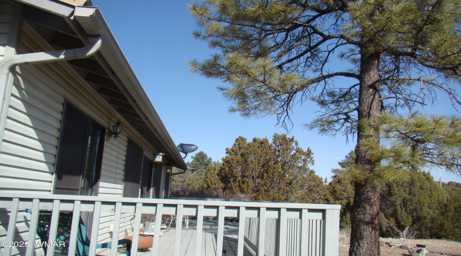 Back deck and gutters