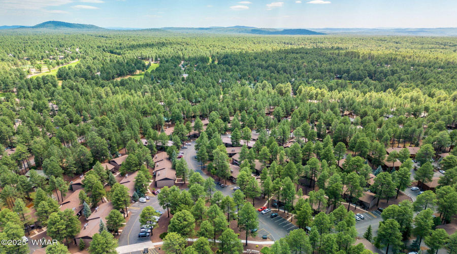 2860SportsVillageLoop-Pinetop-AZ-21