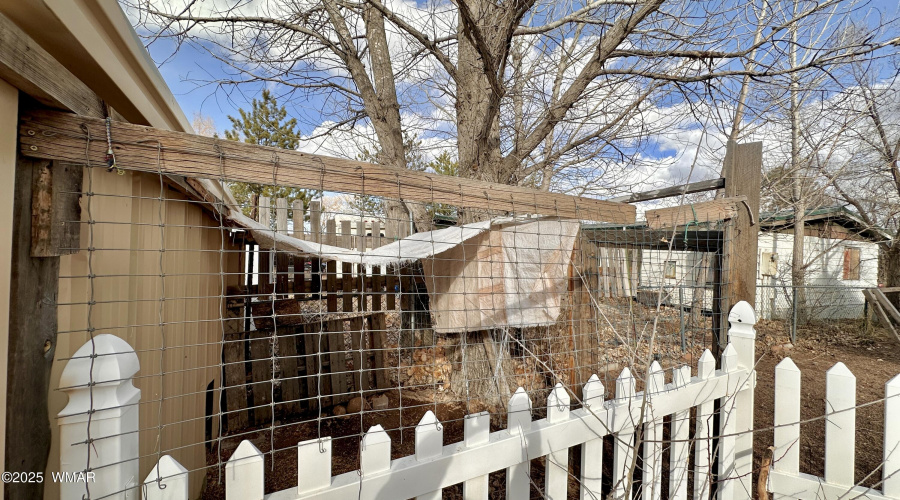 Chicken Coop