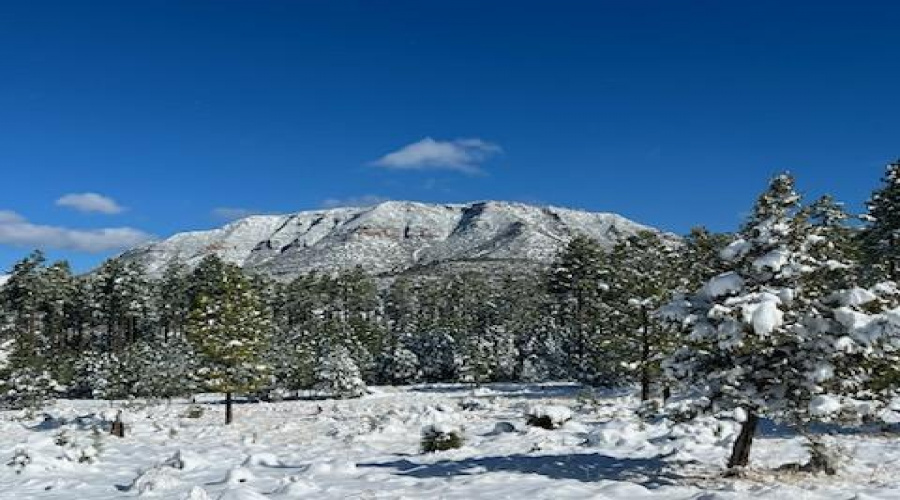 Mogollon Rim with snow