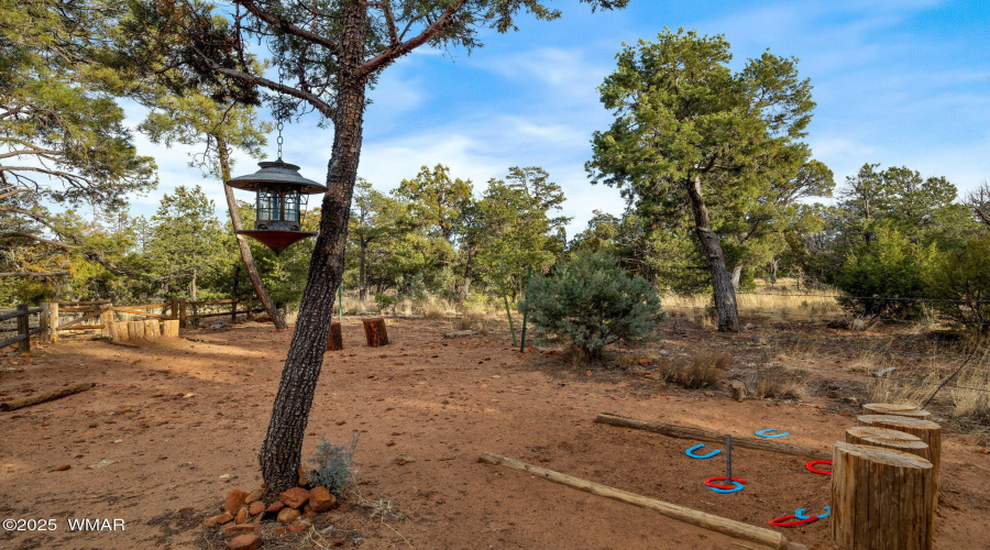 1537RockyTopDr-Heber-AZ-25