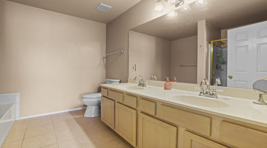 Master Bathroom 1