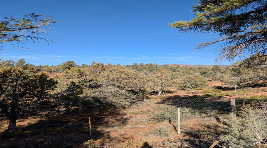 Direct access to Tonto National Forest