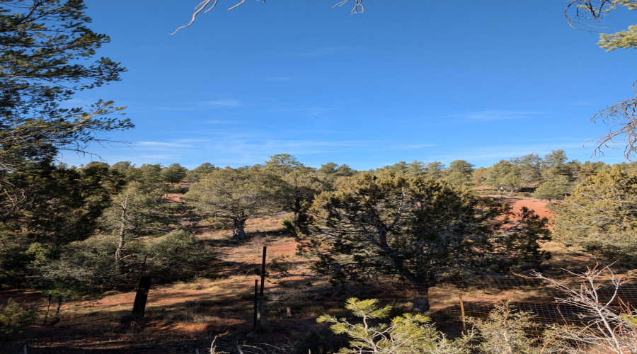 Trails right out backdoor