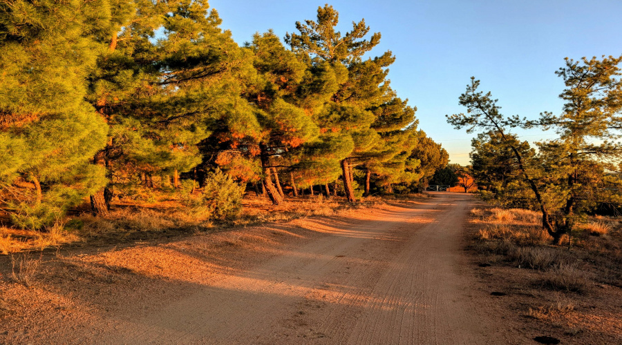 Entrance road to property