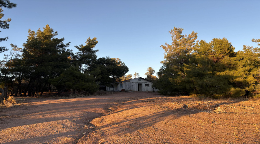 Dilapidated Building