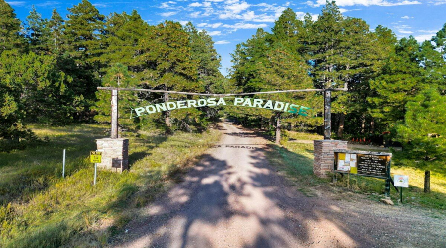 12-Ponderosa Paradise