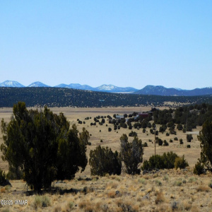 Apache County, AZ Parcel No. 102-79-031