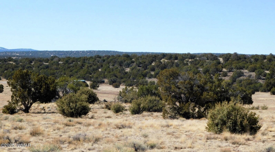 Apache County, AZ Parcel No. 102-79-031