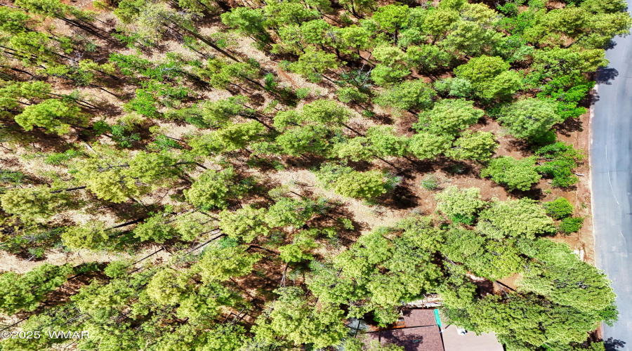 DJI_20250723134130_0044_D