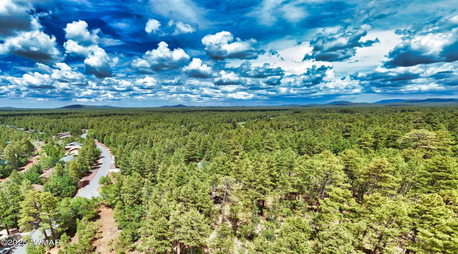 DJI_20250723133925_0041_D