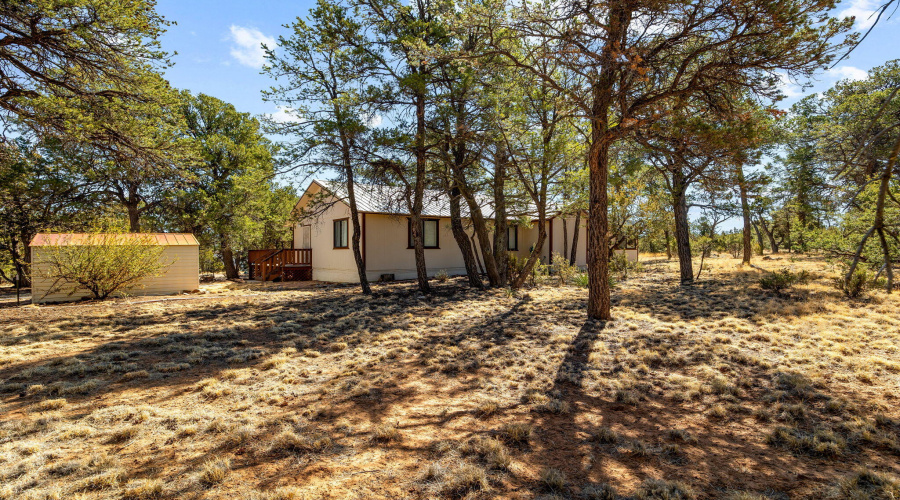 3076PinewoodDr-Heber-AZ-27