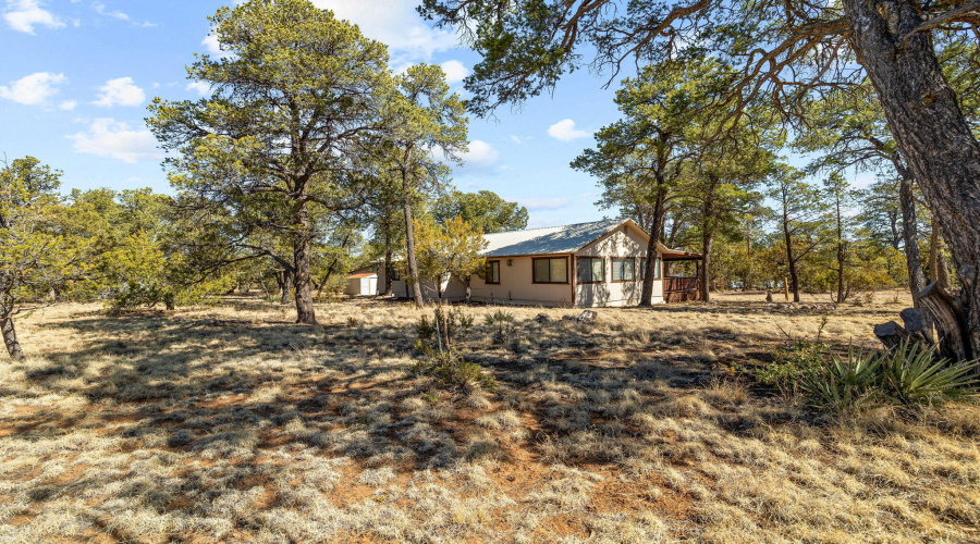 3076PinewoodDr-Heber-AZ-29