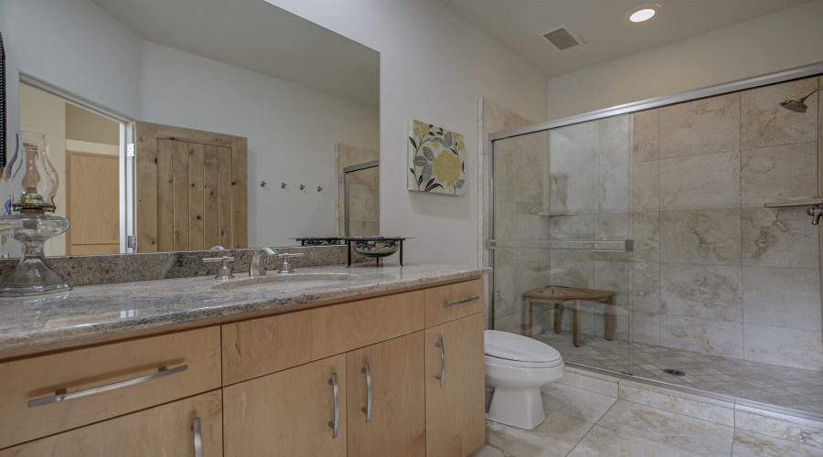 Guest Bathroom - Downstairs