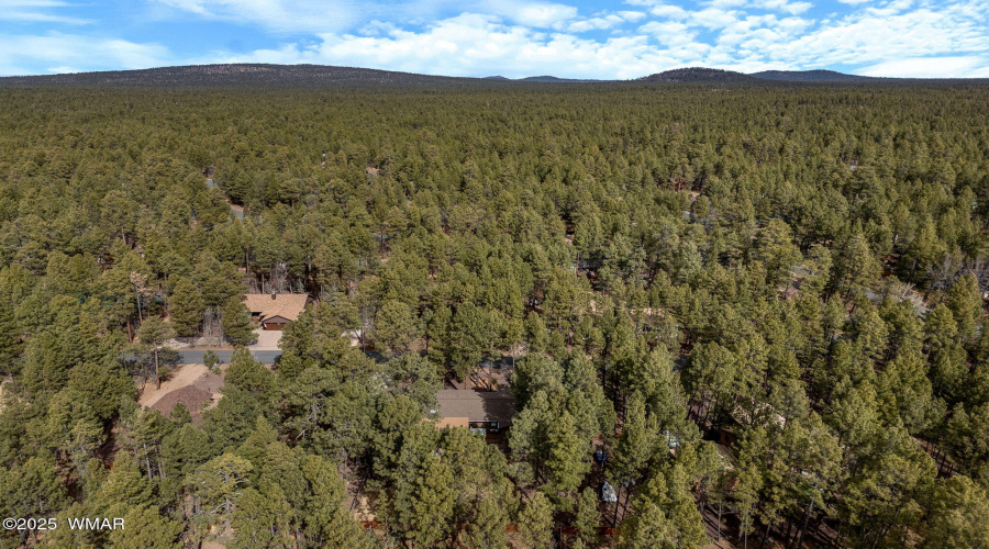 6603SunsetTrail-Pinetop-AZ-44