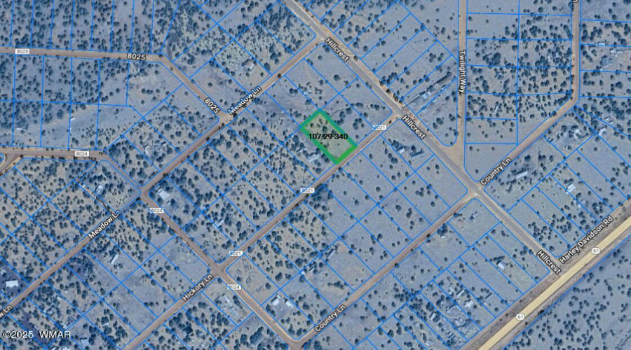 Screenshot 2025-03-25 134935
