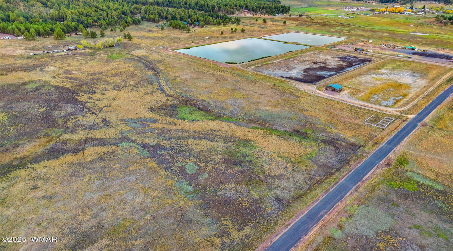 Parcel10115005A-AlpineAZ-9