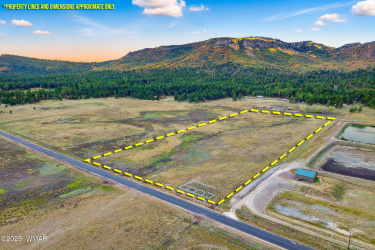 Parcel10115005A-AlpineAZ-16