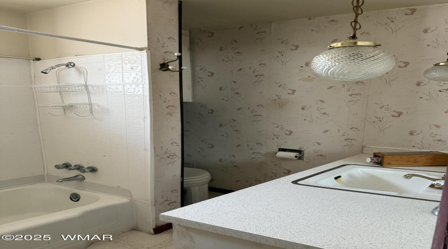Main Bath