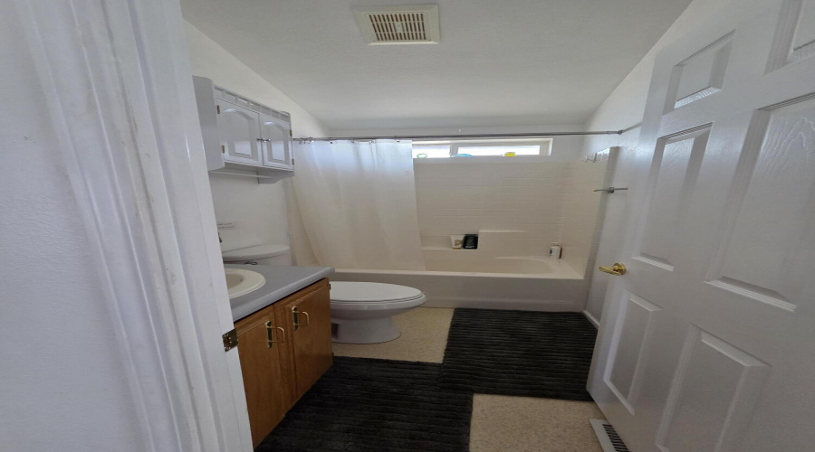 hall bathroom
