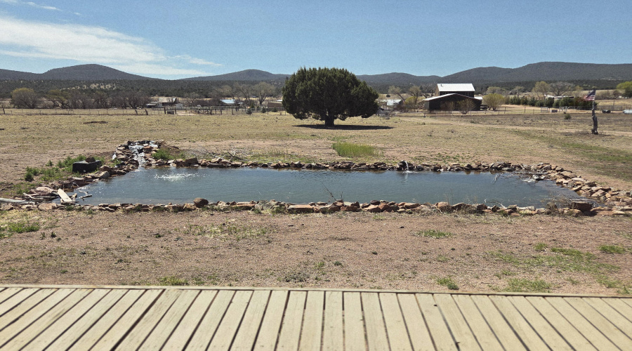 stock pond