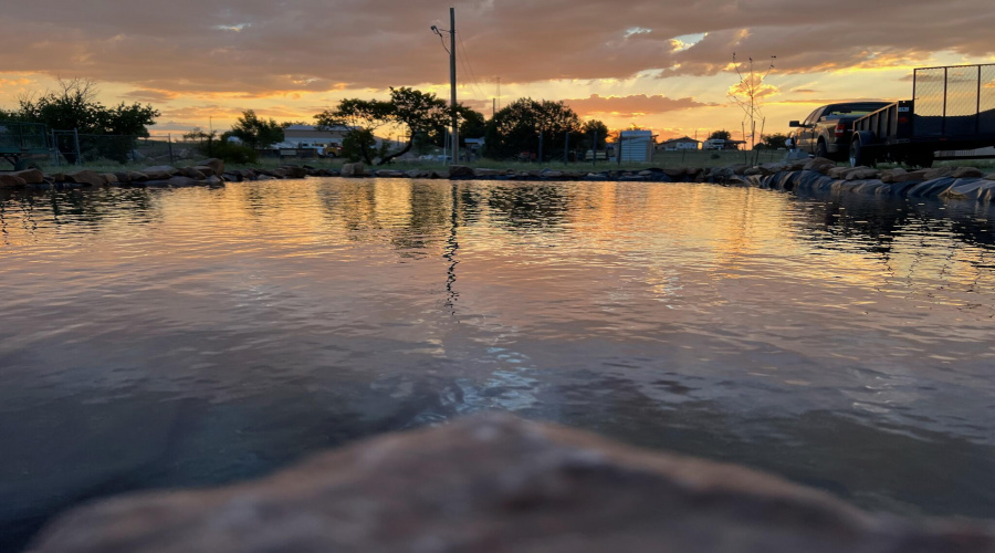 pond