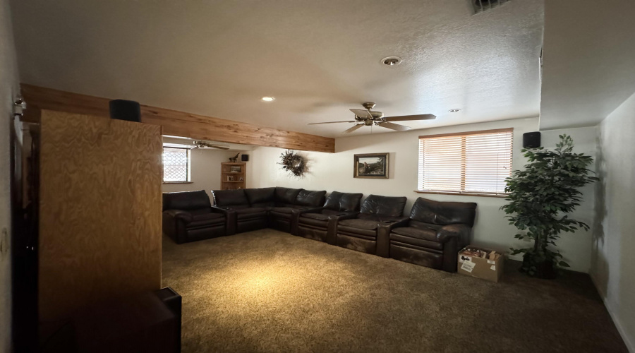Basement living area