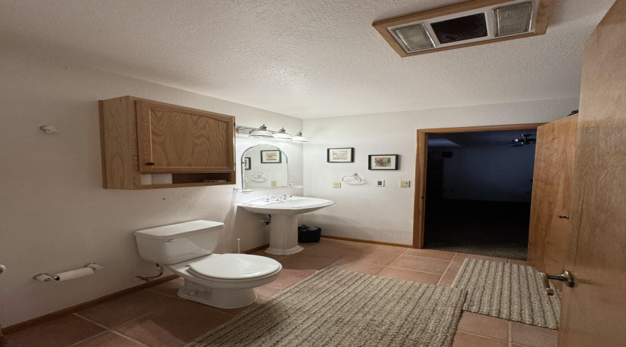Basement bathroom