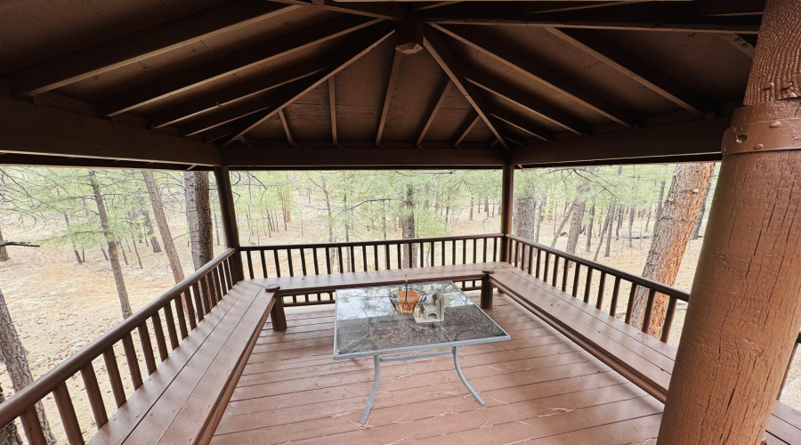 forest views from gazebo