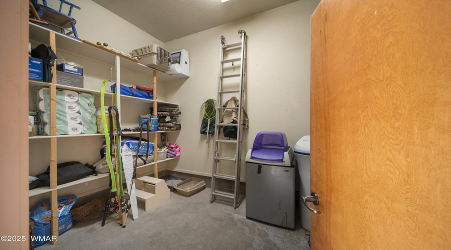 Extra Storage in Garage