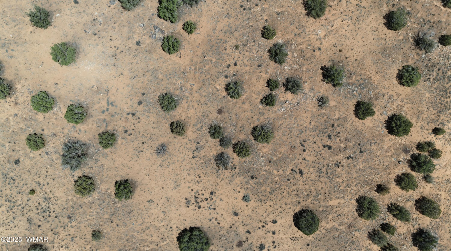 DJI_20250717105647_0016_D